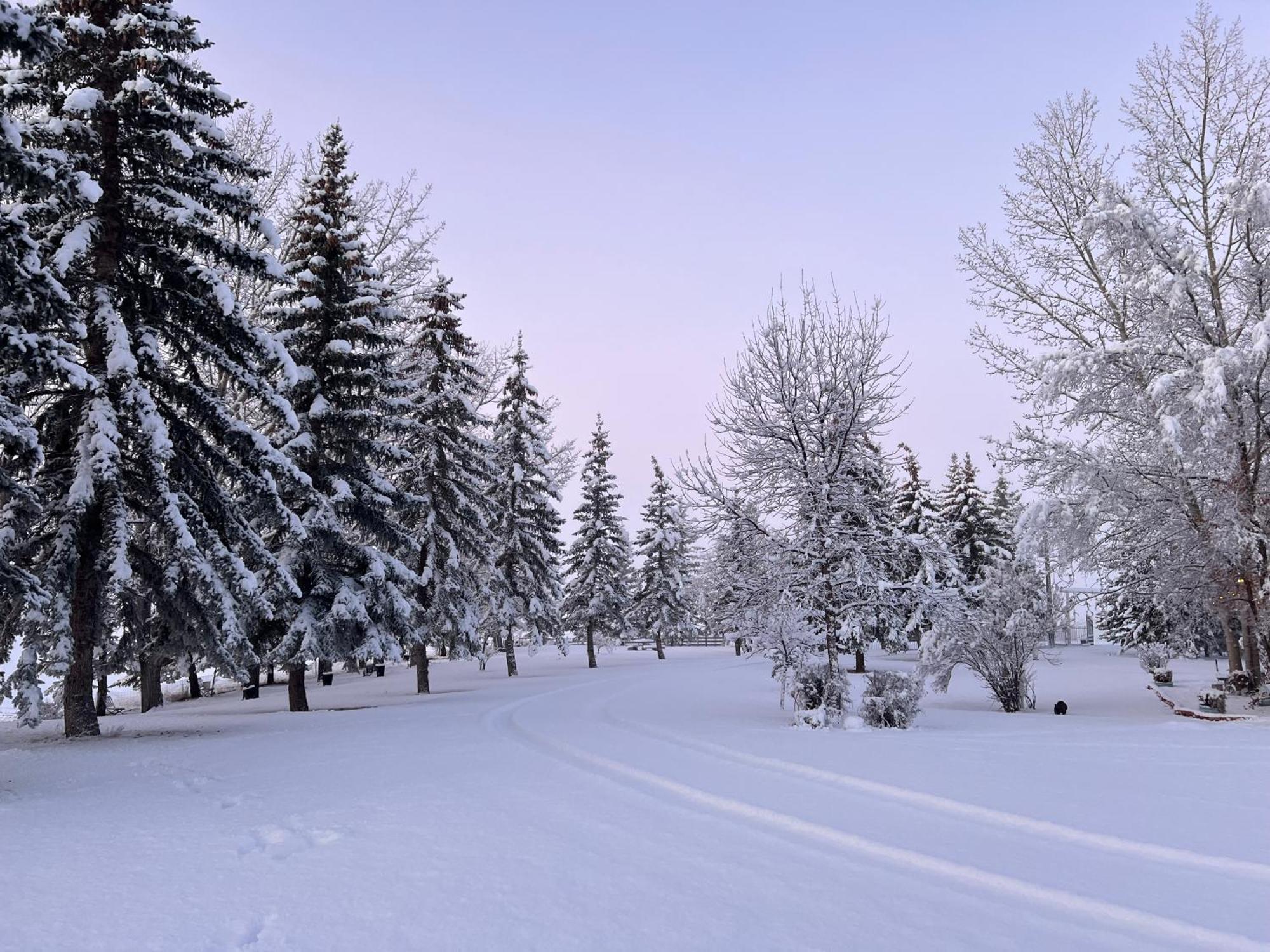 Rolling Hills Country Resort Bed And Breakfast Three Hills Exteriér fotografie